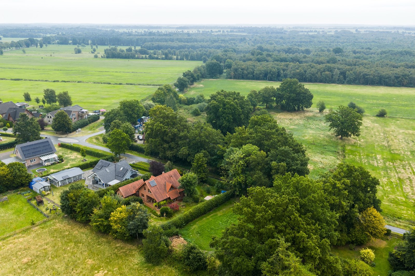 Immobilienmakler in Riede